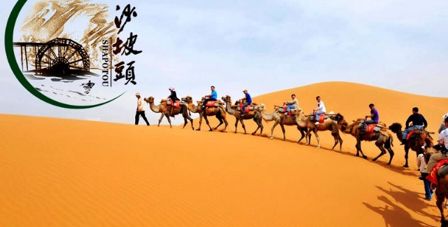 20人團(tuán)寧夏沙坡頭一日游導(dǎo)游服務(wù)